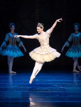 Wiener Staatsballett/Ashley Taylor