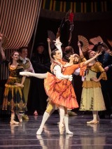 Wiener Staatsballett/Ashley Taylor