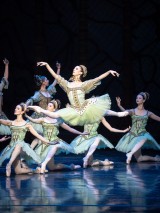 Wiener Staatsballett/Ashley Taylor
