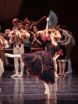 Wiener Staatsballett/Ashley Taylor
