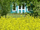 Bad Schönborn: Frühlings-Umgebung (b)